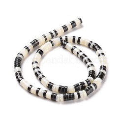 Natural Trochid Shell Beads Strands&nbsp;SSHEL-G023-02B-04