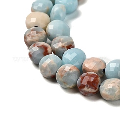 Synthetic ShouShan Stone Beads Strands&nbsp;G-C179-A6mm-26