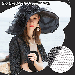 Big Eye Mesh Organza Veil&nbsp;DIY-WH0028-81B