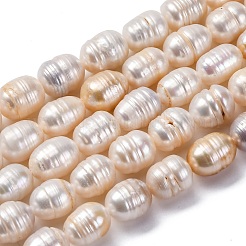 Natural Cultured Freshwater Pearl Beads Strands&nbsp;PEAR-XCP0001-07