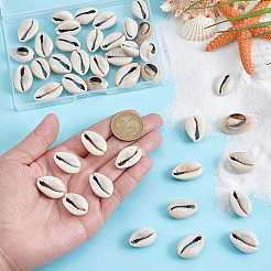 43Pcs Natural Cowrie Shell Beads&nbsp;SSHEL-PH0001-47
