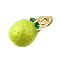 Brass with Enamel Charms&nbsp;KK-Q066-01K-G