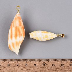 Brass & Natural Mitra Shell Big Pendants&nbsp;SHEL-Q029-17KCG