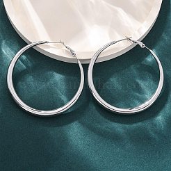 304 Stainless Steel Hoop Earrings&nbsp;EJEW-Z093-01P-02