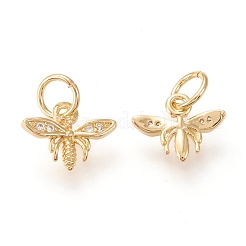 Brass Micro Pave Clear Cubic Zirconia Charms&nbsp;ZIRC-I044-38G