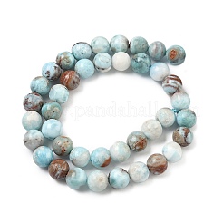 Natural Larimar Beads Strands&nbsp;G-C264-A01-10mm