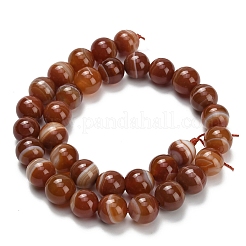 Natural Banded Agate Beads Strands&nbsp;G-L642-B04-12mm