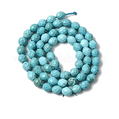 Dyed Natural Howlite Beads Strands&nbsp;G-K376-F06-01