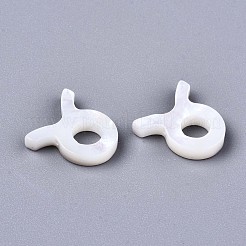 Natural White Shell Beads&nbsp;X-SSHEL-ZX004-02H