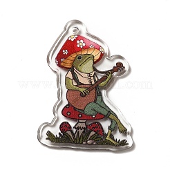 Printed Transparent Acrylic Pendants&nbsp;LS-MACR-G059-11F