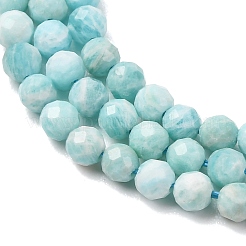 Natural Amazonite Beads Strands&nbsp;G-F619-26-3mm