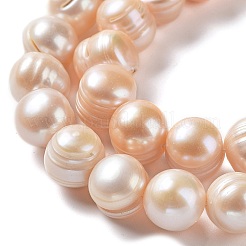 Natural Cultured Freshwater Pearl Beads Strands&nbsp;PEAR-E019-15