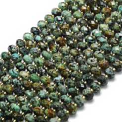 Natural African Turquoise(Jasper) Beads Strands&nbsp;G-P573-A29-01