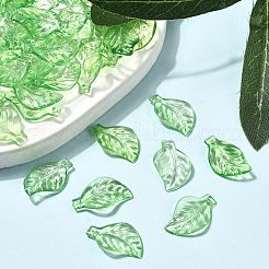 Transparent Acrylic Pendants&nbsp;X-DBLA156-8