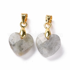 Natural Labradorite Pendants&nbsp;G-C023-07K