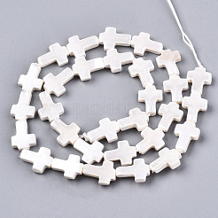 Shell Pearl Beads Strands&nbsp;SSHEL-N032-20