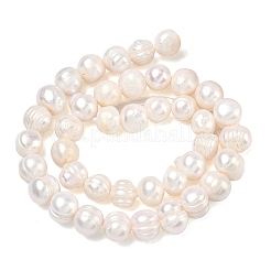 Natural Cultured Freshwater Pearl Beads Strands&nbsp;PEAR-L034-12G