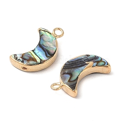 Natural Paua Shell Pendants&nbsp;SHEL-P017-24G