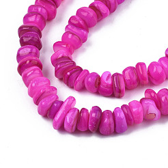 Natural Trochid Shell/Trochus Shell Beads Strands&nbsp;SHEL-S258-081-B07