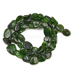 Natural Green Diopside Beads Strands&nbsp;G-G464-A01-02