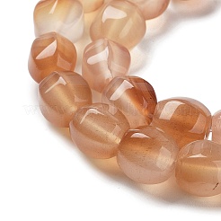 Natural Agate Beads Strands&nbsp;G-G172-02K