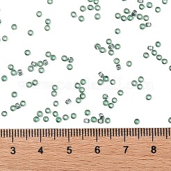 TOHO Round Seed Beads&nbsp;SEED-JPTR11-2202