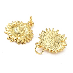 Brass Pendants&nbsp;KK-I381-02G