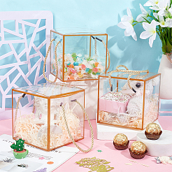 Transparent PET Plastic Gift Tote Boxes&nbsp;CON-WH0085-61A-01
