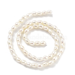 Natural Cultured Freshwater Pearl Beads Strands&nbsp;PEAR-P062-22