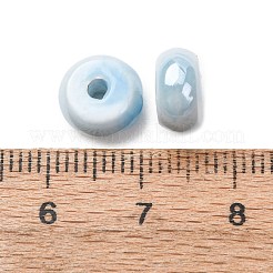 Handmade Porcelain Beads&nbsp;LS-PR-Z001-01E