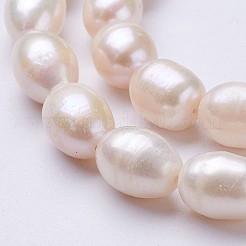 Natural Cultured Freshwater Pearl Beads Strands&nbsp;PEAR-P002-13-01