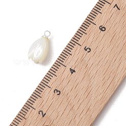 Natural Trochus Shell Pendants&nbsp;PALLOY-JF05371