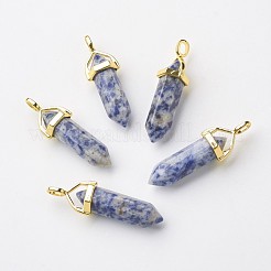 Natural Blue Spot Jasper Double Terminated Pointed Pendants&nbsp;G-G902-B04