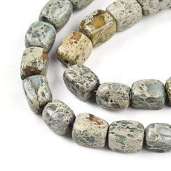 Natural Variscite Beads Strands&nbsp;G-N346-04A-11