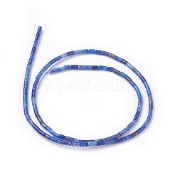 Natural Lapis Lazuli Beads Strands&nbsp;G-G783-01