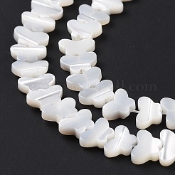 Natural Trochus Shell Beads Strands&nbsp;SSHEL-H070-05