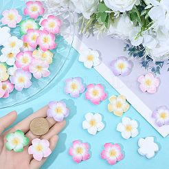 Plumeria Flower Opaque Resin Cabochons&nbsp;CRES-BM0001-01B