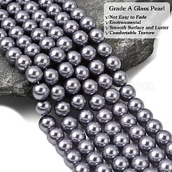 Eco-Friendly Dyed Glass Pearl Round Beads Strands&nbsp;HY-A002-10mm-RB028