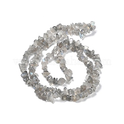 Natural Labradorite Beads Strands&nbsp;G-P497-03A-04