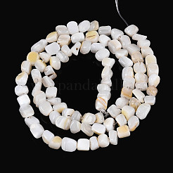 Natural Freshwater Shell Beads Strands&nbsp;SHEL-N038-06A