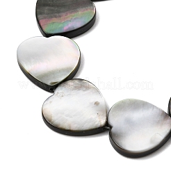 Natural Black Lip Shell Beads Strands&nbsp;BSHE-D300-06C