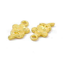 Rack Plating Alloy Pendants&nbsp;FIND-G045-48MG