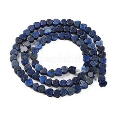 Dyed Natural Lapis Lazuli Beads Strands&nbsp;G-M403-A30-01