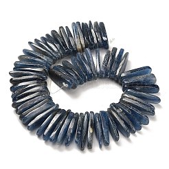Natural Kyanite Beads Strands&nbsp;G-H335-F01