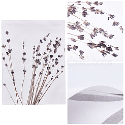 Canvas Wall Art&nbsp;HJEW-WH0008-81