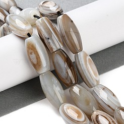 Natural Eye Agate Beads Strands&nbsp;G-NH0019-C04-05
