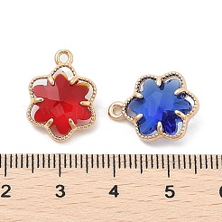 Glass Pendants&nbsp;KK-S407-19KCG
