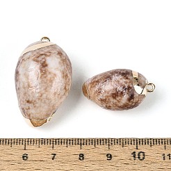 Electroplate Natural Shell Pendants&nbsp;SSHEL-N042-06