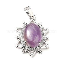 Natural Amethyst Pendants&nbsp;G-B033-03P-24