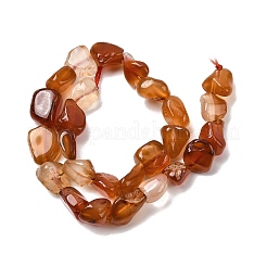 Natural Red Agate Beads Strands&nbsp;G-P601-A17-03